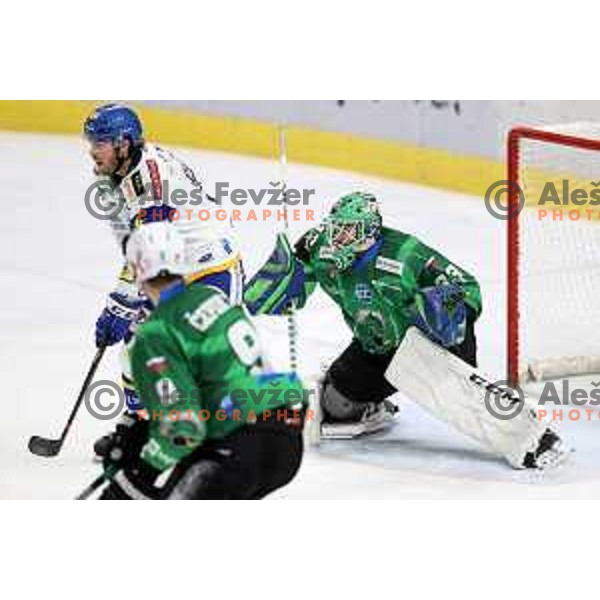 Zan Us of SZ Olimpija in action during IceHL match between SZ Olimpija and VSV Villach in Ljubljana, Slovenia on October 22, 2021