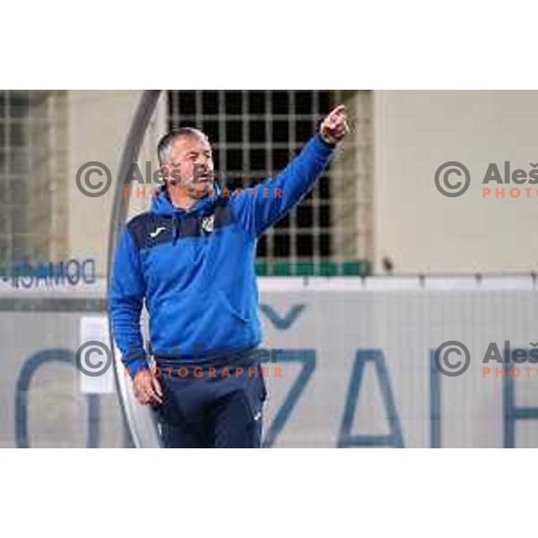 Dejan Djuranovic, head coach of Domzale during Prva Liga Telemach football match between Domzale and Koper in Domzale, Slovenia on October 17, 2021