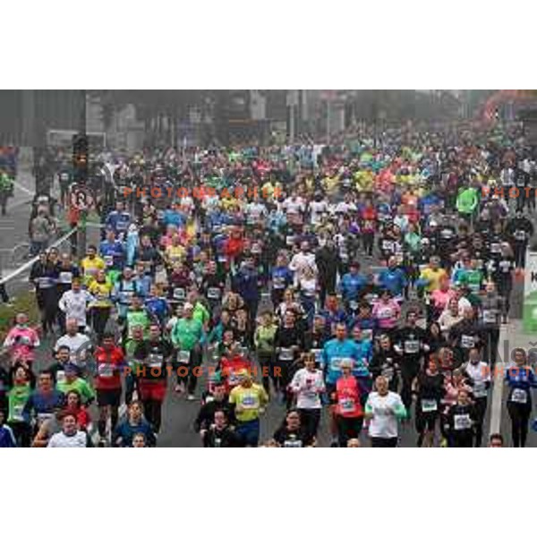 25th Ljubljana Marathon, Slovenia on October 24, 2021