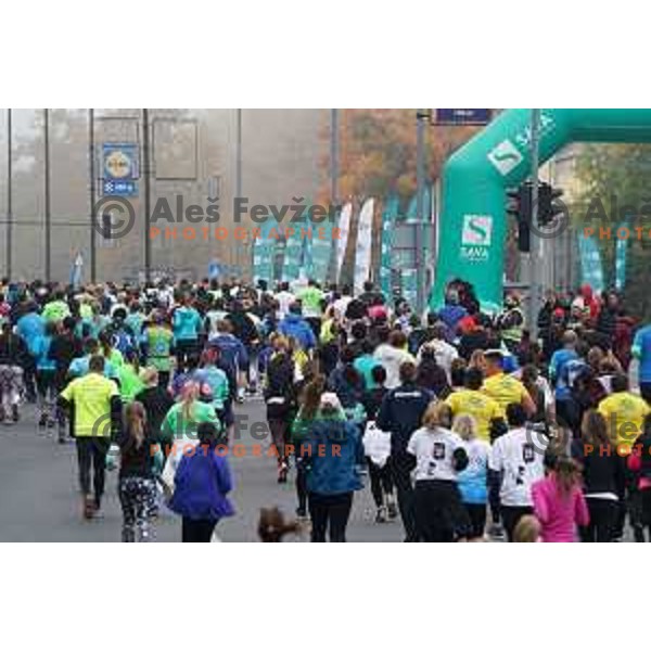 25th Ljubljana Marathon, Slovenia on October 24, 2021