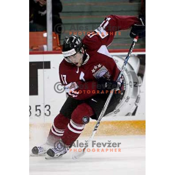 Nizivijs (17) of Latvia at IIHF World championship 2008 preliminary round group B, played in Halifax, Nova Scotia, Canada May 2nd 2008. USA beat Latvia 4:0. Photo by Ales Fevzer 