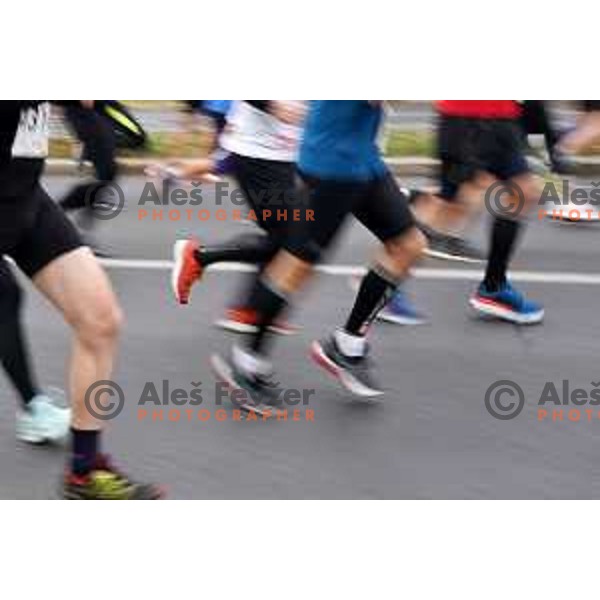 25th Ljubljana Marathon, Slovenia on October 24, 2021