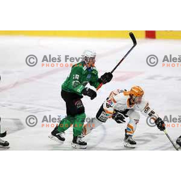 Ales Music of SZ Olimpija in action during IceHL match between SZ Olimpija and Black Wings Linz in Ljubljana, Slovenia on October 29, 2021