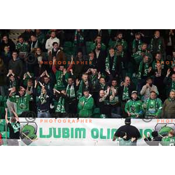 Fans of SZ Olimpija in action during IceHL match between SZ Olimpija and Black Wings Linz in Ljubljana, Slovenia on October 29, 2021
