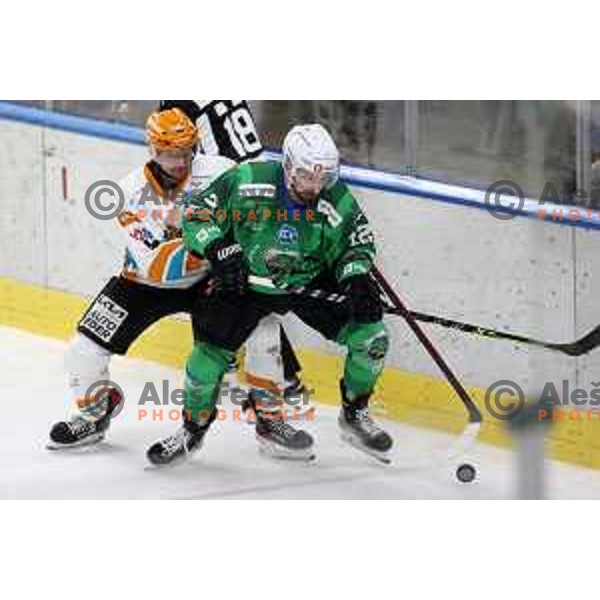 Nik Simsic of SZ Olimpija in action during IceHL match between SZ Olimpija and Black Wings Linz in Ljubljana, Slovenia on October 29, 2021