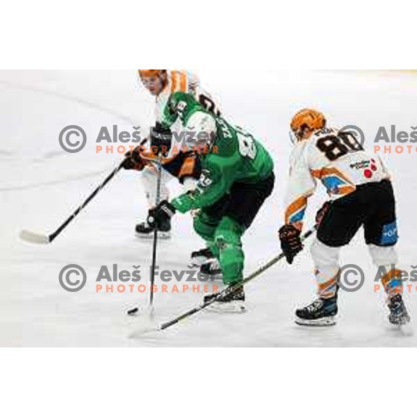 Miha Zajc of SZ Olimpija in action during IceHL match between SZ Olimpija and Black Wings Linz in Ljubljana, Slovenia on October 29, 2021