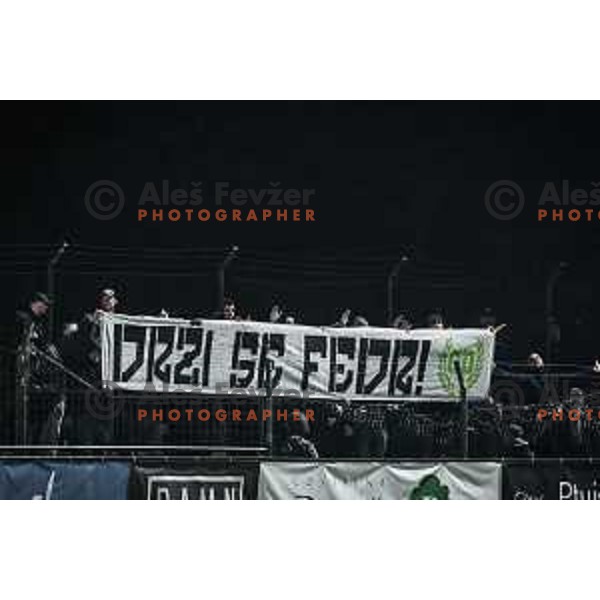 Green Dragons during Prva liga Telemach football match between Aluminij and Olimpija in Sportni park Kidricevo, Slovenia on November 7, 2021