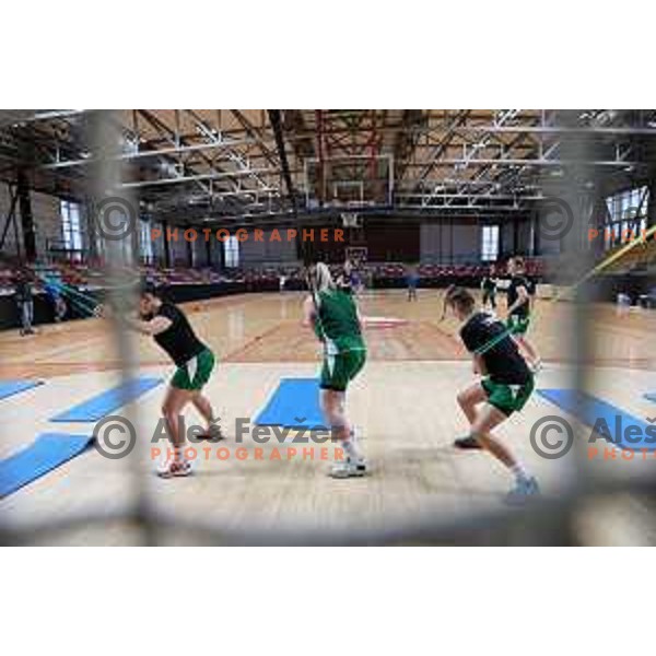 Slovenia Women\'s Basketball team practice session in Kodeljevo hall, Ljubljana, Slovenia on November 8, 2021