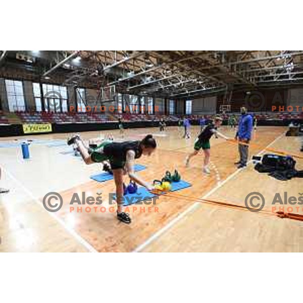 Marusa Senicar of Slovenia Women\'s Basketball team during practice session in Kodeljevo hall, Ljubljana, Slovenia on November 8, 2021