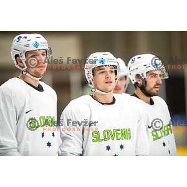 at practice session of Slovenia Ice-Hockey team at Bled,Slovenia on November 8, 2021