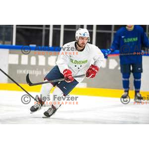 at practice session of Slovenia Ice-Hockey team at Bled,Slovenia on November 8, 2021