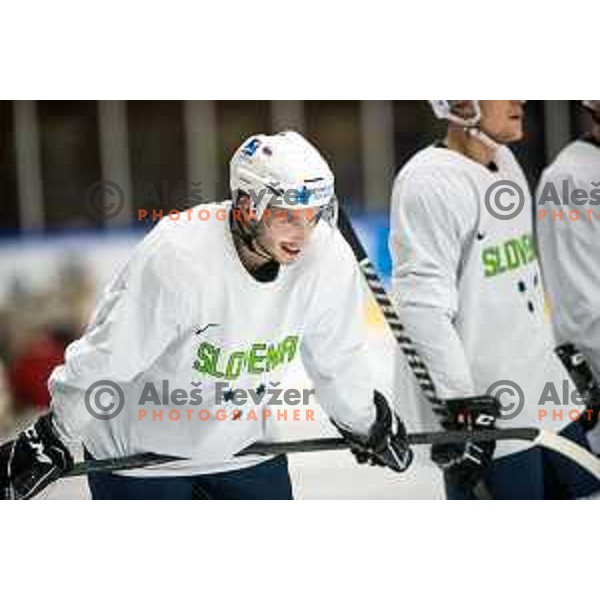 at practice session of Slovenia Ice-Hockey team at Bled,Slovenia on November 8, 2021