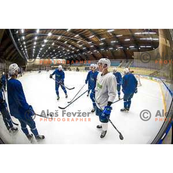at practice session of Slovenia Ice-Hockey team at Bled,Slovenia on November 8, 2021