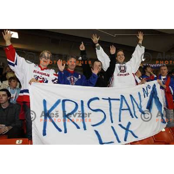 Fans from Slovenia at IIHF World championship 2008 preliminary round group B, played in Halifax, Nova Scotia, Canada May 4th 2008. USA beat Slovenia 5:1. Photo by Ales Fevzer 