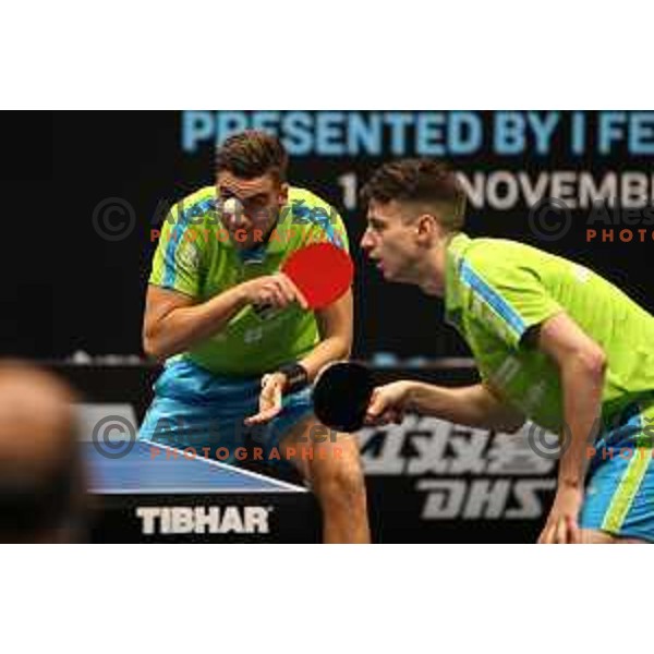 Deni Kuzul and Darko Jorgic in action during WTT Slovenian hub, presented by I feel Slovenia in Lasko, Slovenia on November 11, 2021