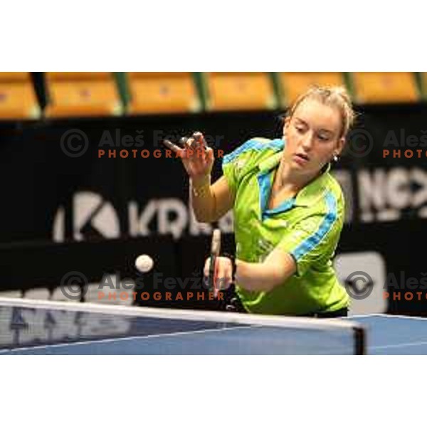 in action during WTT Slovenian hub, presented by I feel Slovenia in Lasko, Slovenia on November 11, 2021