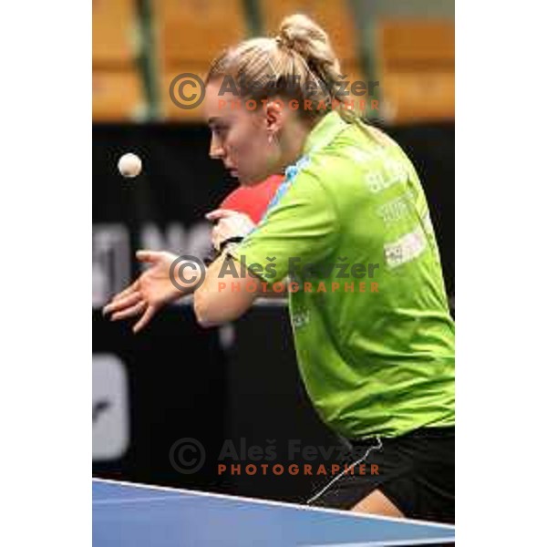 in action during WTT Slovenian hub, presented by I feel Slovenia in Lasko, Slovenia on November 11, 2021