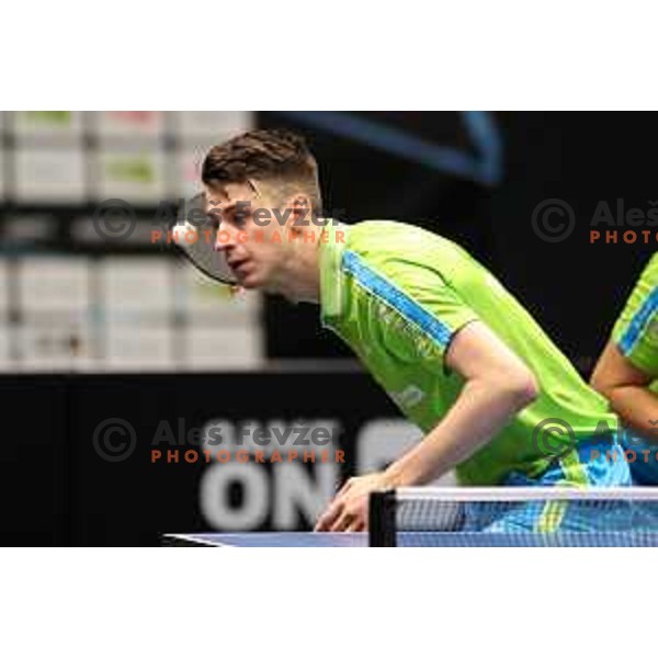 in action during WTT Slovenian hub, presented by I feel Slovenia in Lasko, Slovenia on November 11, 2021