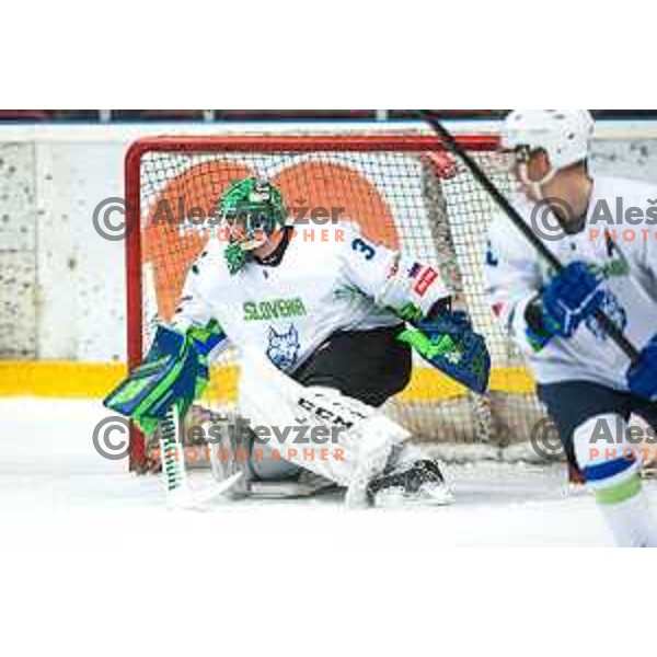 Zan Us in action during ice-hockey match between Slovenia and France in Podmezakla hall in Jesenice, Slovenia on November 11, 2021