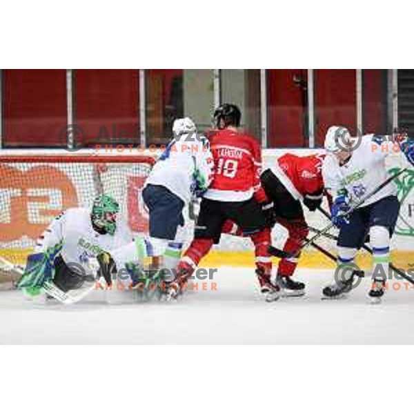 In action during 4 nations ice-hockey tournament between Slovenia and Austria in Podmezakla hall in Jesenice, Slovenia on November 13, 2021