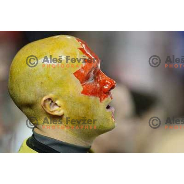 Canada ice hockey fan 