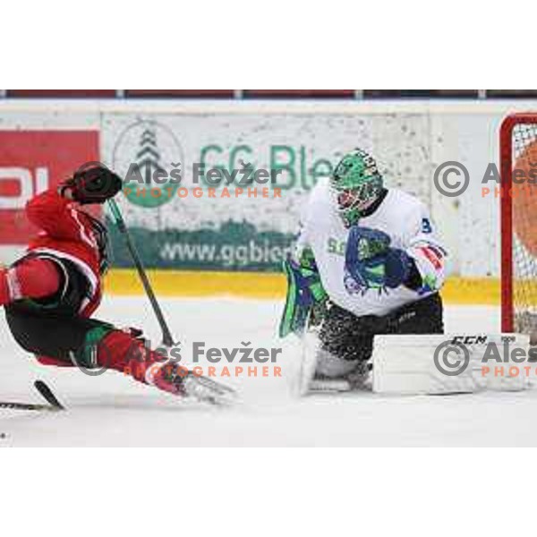 Zan Us in action during 4 nations ice-hockey tournament between Slovenia and Austria in Podmezakla hall in Jesenice, Slovenia on November 13, 2021