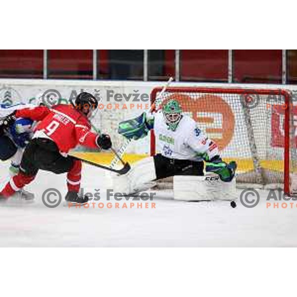 Zan Us in action during 4 nations ice-hockey tournament between Slovenia and Austria in Podmezakla hall in Jesenice, Slovenia on November 13, 2021