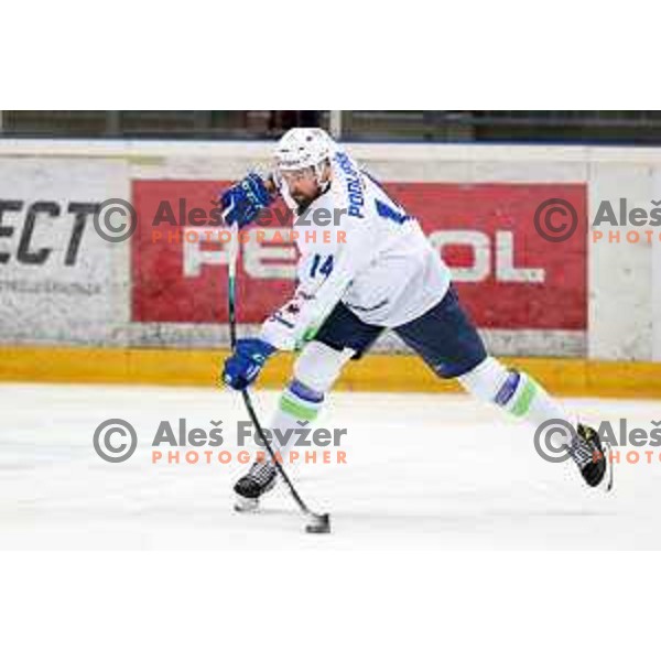 Matic Podlipnik in action during 4 nations ice-hockey tournament between Slovenia and Austria in Podmezakla hall in Jesenice, Slovenia on November 13, 2021