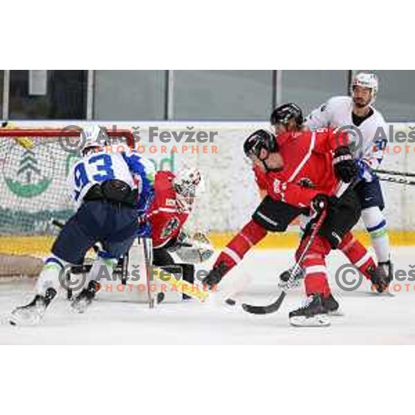 Luka Kalan in action during 4 nations ice-hockey tournament between Slovenia and Austria in Podmezakla hall in Jesenice, Slovenia on November 13, 2021