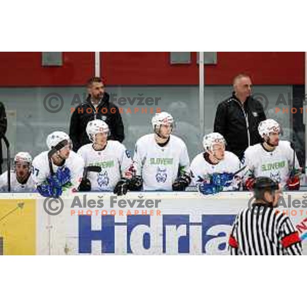 Jaka Sodja in action during 4 nations ice-hockey tournament between Slovenia and Austria in Podmezakla hall in Jesenice, Slovenia on November 13, 2021