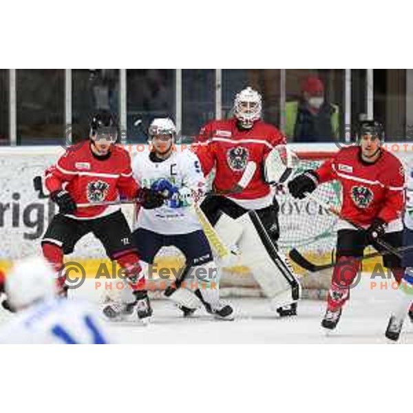 Anze Kuralt in action during 4 nations ice-hockey tournament between Slovenia and Austria in Podmezakla hall in Jesenice, Slovenia on November 13, 2021