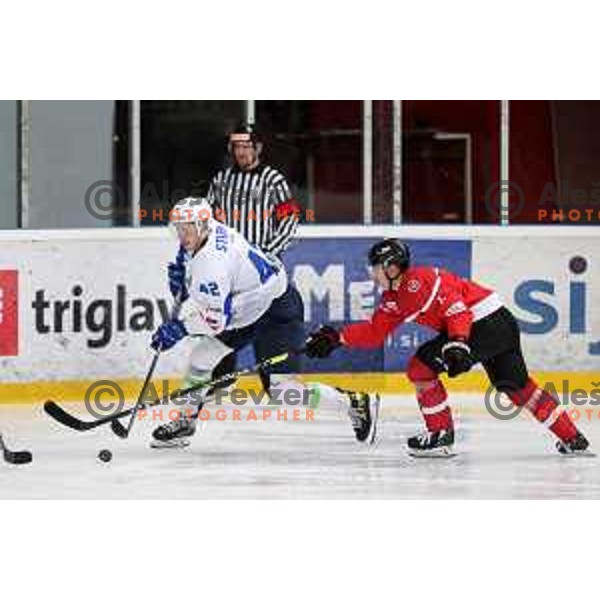 Jaka Sturm in action during 4 nations ice-hockey tournament between Slovenia and Austria in Podmezakla hall in Jesenice, Slovenia on November 13, 2021
