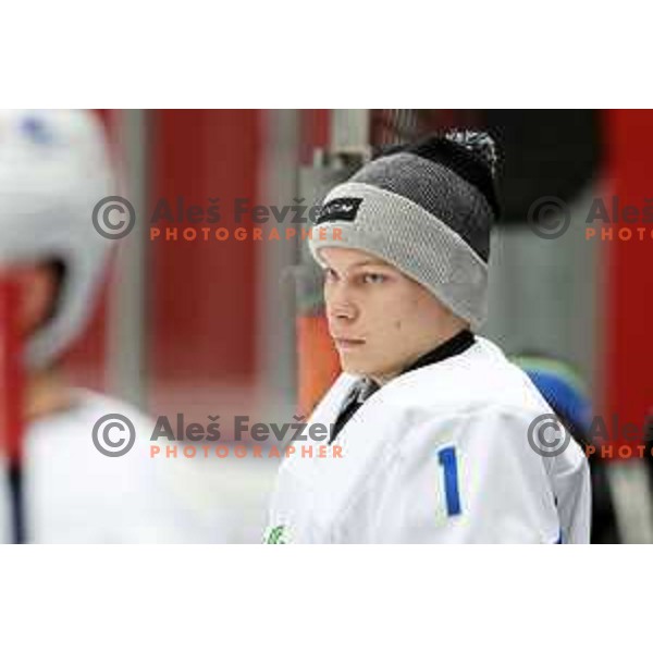 Val Usnik during 4 nations ice-hockey tournament between Slovenia and Austria in Podmezakla hall in Jesenice, Slovenia on November 13, 2021