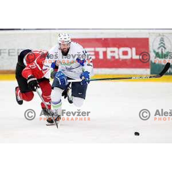 Matic Podlipnik in action during 4 nations ice-hockey tournament between Slovenia and Austria in Podmezakla hall in Jesenice, Slovenia on November 13, 2021