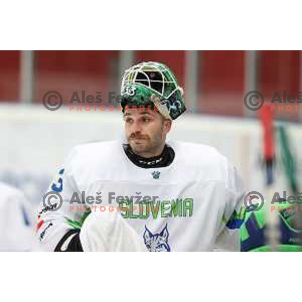 Zan Us during 4 nations ice-hockey tournament between Slovenia and Austria in Podmezakla hall in Jesenice, Slovenia on November 13, 2021