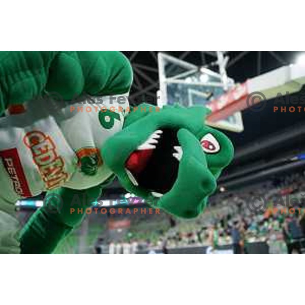 Green Dragon, mascot of Cedevita Olimpija in action during ABA league regular season basketball match between Cedevita Olimpija and Mornar Barsko Zlato in Stozice, Arena, Ljubljana, Slovenia on November 13, 2021