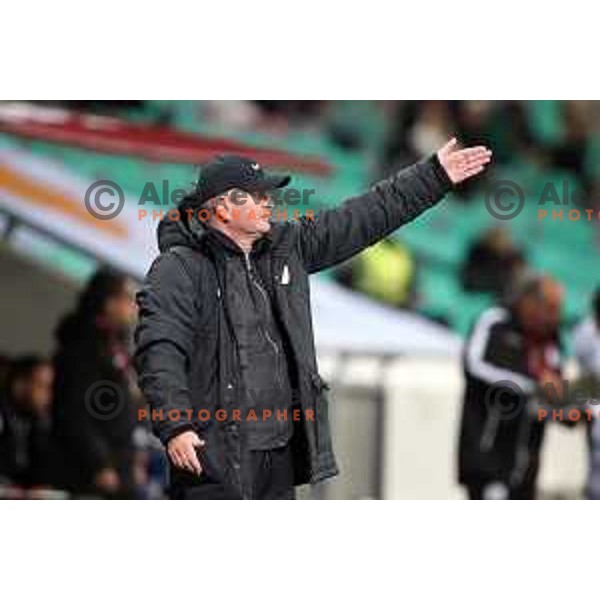 Matjaz Kek, head coach of Slovenia during FIFA World Cup 2022 Qualifiers match between Slovenia and Cyprus in Stozice, Ljubljana, Slovenia on November 14, 2021