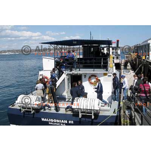 members of Slovenia ice-hockey team at 2008 IIHF World Championship before departure to whale watching cruise in Halifax, Nova Scotia, Canada, May 7th 2008. Photo by Ales Fevzer 