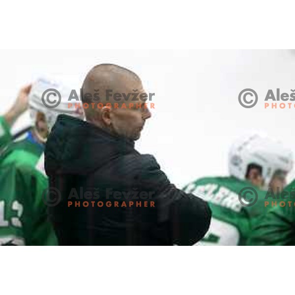 Mitja Sivic during Slovenian Championship regular season match between SZ Olimpija and SIJ Acroni Jesenice in Ljubljana, Slovenia on November 23, 2021