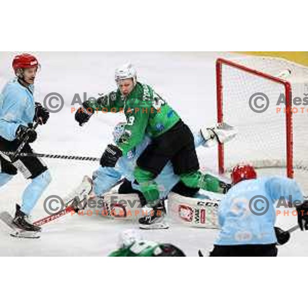 Oscar Fröberg and Blaz Tomazevic in action during Slovenian Championship regular season match between SZ Olimpija and SIJ Acroni Jesenice in Ljubljana, Slovenia on November 23, 2021