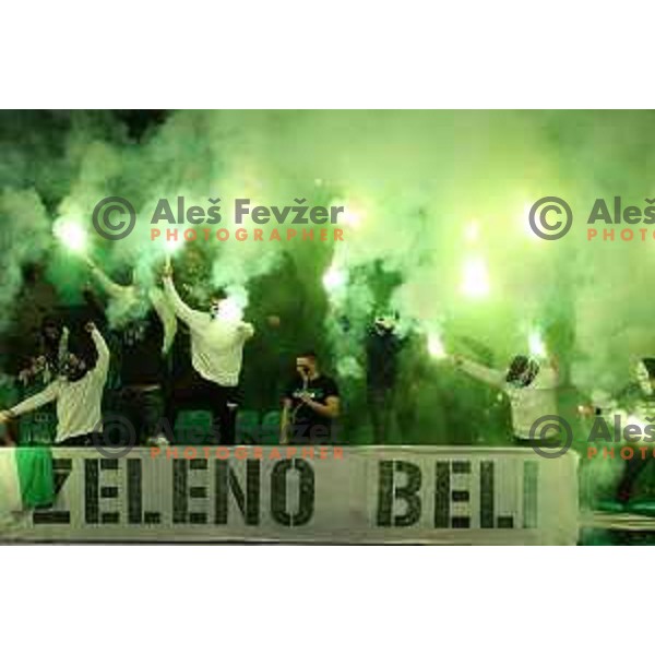 Fans of SZ Olimpija in action during Slovenian Championship regular season match between SZ Olimpija and SIJ Acroni Jesenice in Ljubljana, Slovenia on November 23, 2021