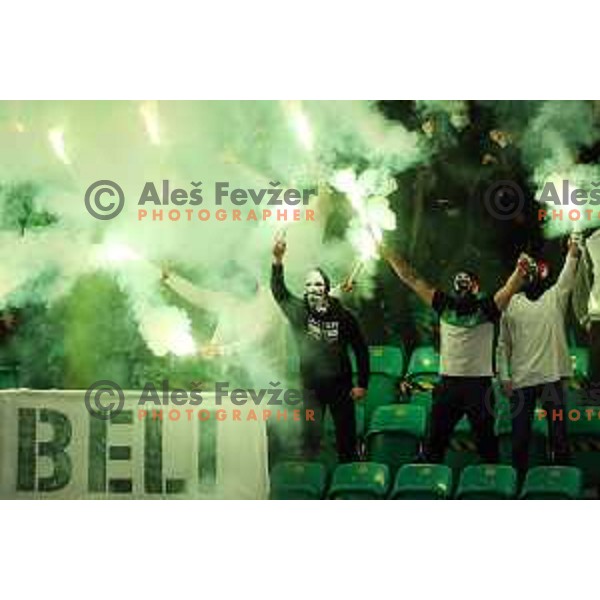 Fans of SZ Olimpija in action during Slovenian Championship regular season match between SZ Olimpija and SIJ Acroni Jesenice in Ljubljana, Slovenia on November 23, 2021
