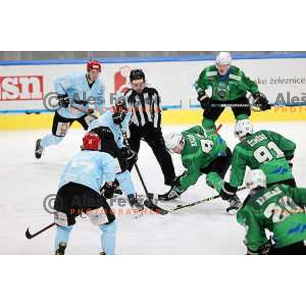 Luka Kalan in action during Slovenian Championship regular season match between SZ Olimpija and SIJ Acroni Jesenice in Ljubljana, Slovenia on November 23, 2021