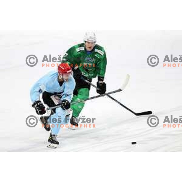 Erik Svetina in action during Slovenian Championship regular season match between SZ Olimpija and SIJ Acroni Jesenice in Ljubljana, Slovenia on November 23, 2021