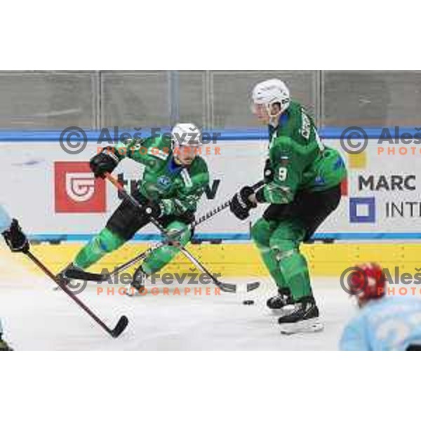 Luka Kalan in action during Slovenian Championship regular season match between SZ Olimpija and SIJ Acroni Jesenice in Ljubljana, Slovenia on November 23, 2021