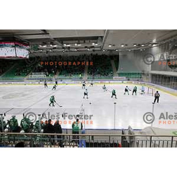 Fans of SZ Olimpija in action during Slovenian Championship regular season match between SZ Olimpija and SIJ Acroni Jesenice in Ljubljana, Slovenia on November 23, 2021