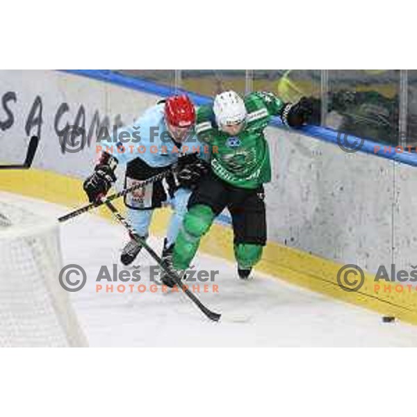 Saso Rajsar in action during Slovenian Championship regular season match between SZ Olimpija and SIJ Acroni Jesenice in Ljubljana, Slovenia on November 23, 2021