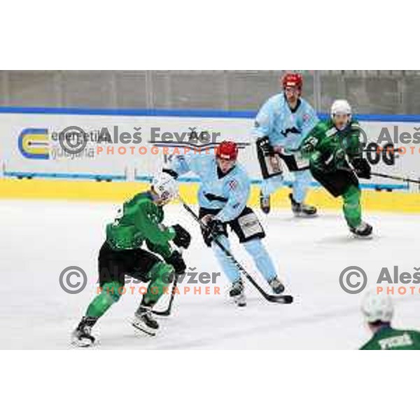 Gasper Sersen in action during Slovenian Championship regular season match between SZ Olimpija and SIJ Acroni Jesenice in Ljubljana, Slovenia on November 23, 2021