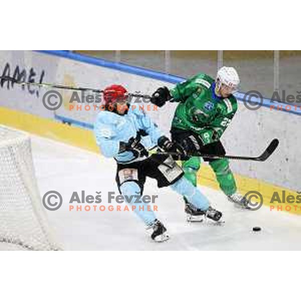 Nejc Brus in action during Slovenian Championship regular season match between SZ Olimpija and SIJ Acroni Jesenice in Ljubljana, Slovenia on November 23, 2021