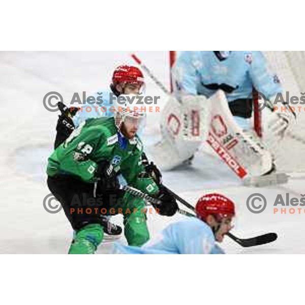 Miha Zajc in action during Slovenian Championship regular season match between SZ Olimpija and SIJ Acroni Jesenice in Ljubljana, Slovenia on November 23, 2021